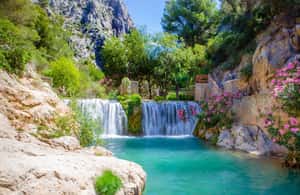imagen n.º 4 de Desde Alicante/Benidorm: Excursión a las Cascadas de Guadalest y Algar actividad en Callosa de Ensarriá, subida por el proveedor