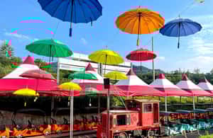 imagen n.º 3 de Seúl: Excursión de un día a la Isla de Nami y al Parque de las Aves de Begonia y Railbike actividad en Provincia de Gyeonggi, subida por el proveedor