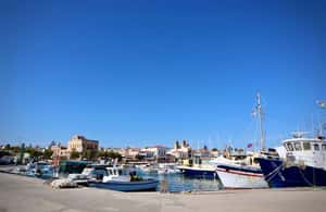 imagem n.4 de Aegina: Visita o centro da cidade, a história e as delícias gastronómicas atividade em Cidade de Egina, carregada pelo fornecedor