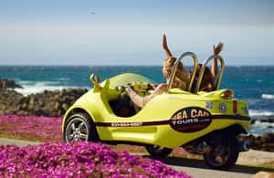 image n.4 of Monterey: Full-Day GoCar Tour activity in California, uploaded by supplier