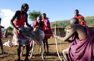 image n.3 of Masai Village Visit From Nairobi Day Tour activity in Central Kenya, uploaded by supplier