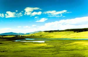 imagem n.4 de De Bozeman: Excursão de um dia a Yellowstone (circuito superior) atividade em Wyoming, carregada pelo fornecedor