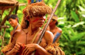 image n.4 of Iquitos : Amazon Two-Day Adventure activity in Huanuco Region, uploaded by supplier