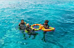 image n.4 of From Cairns: Great Barrier Reef Cruise by Premium Catamaran activity in Cairns, uploaded by supplier