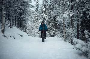 image n.4 of E-Fatbike Adventure in Snowy Forest – Levi activity in Sirkka, uploaded by supplier