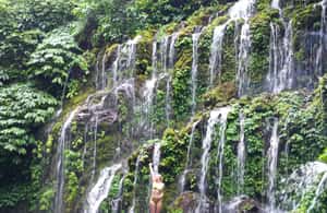 image n.4 of North Bali Trip with 2 Hidden Waterfalls Private Tour activity in Tabanan, uploaded by supplier