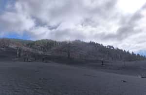 image n.4 of La Palma: Tajogaite Volcano Guided Hike ( ES-ED ) activity in El Paso, Spain, uploaded by supplier