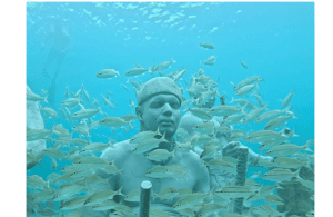 obrázok č. 4 aktivity Sint Maarten: Podvodný park sôch: Šnorchlovacie dobrodružstvo v destinácii Sint Maarten, obrázok nahral dodávateľ