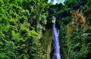 imagem n.3 de Cebu: Viagem às cascatas de Dao, Inambakan, Kawasan e Mantayupan atividade em Visayas, carregada pelo fornecedor