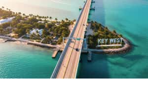 Bild Nr. 4 von Von Miami aus: Key West mit Delfinbeobachtung oder Schnorchelboot Aktivität in Marathon, Florida, hochgeladen vom Anbieter