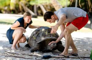 image n.4 of Praslin: Curieuse & St. Pierre Full-Day Boat Trip with Lunch activity in Baie Sainte Anne, uploaded by supplier