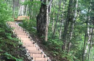 slika br. 3 iz kolekcije 30 minuta od Quebeca: Duhovna šetnja svetim planinama aktivnosti u mjestu Kvebek, prenio opskrbni partner