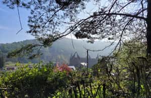 image n.4 of From Cardiff: Guided Tour of Welsh Valleys activity in Tintern, uploaded by supplier