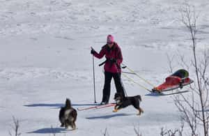 bild nr.4 av Kiruna: Längdskidåkningstur med guide aktivitet i Kiruna, uppladdad av arrangören