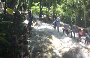 imagem n.4 de De Falmouth: Viagem de 1 dia a Dunn's River Falls e Ocho Rios atividade em Ocho Rios, carregada pelo fornecedor