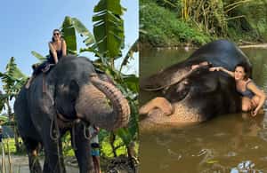 Image N°3 de Au départ de Colombo : visite des sites incontournables de Kandy et de l'orphelinat des éléphants activité à Province de Sabaragamuwa, publiée par le prestataire
