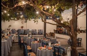 image n.4 of Santorini: The Greek Wedding Show activity in Fira, uploaded by supplier