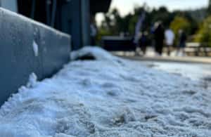 pilt nr 4/Melbourne: Lake Mountain Snow & Redwood Forest Tours tegevusest Narbethong, üles laadinud tarnija