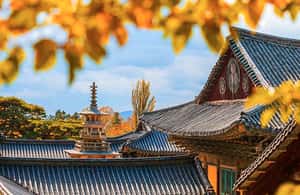 image n.4 of Busan: 7 Highlights Gyeongju City One Day Tour activity in Gyeongju, uploaded by supplier