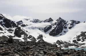 image n.4 of Trekking to Vinciguerra glacier and Tempanos lagoon activity in Ushuaia, uploaded by supplier
