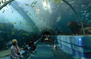 kuva n.3/Atlanta: App-Guided Walking Tour aktiviteetista Atlanta, jonka toimittaja on ladannut