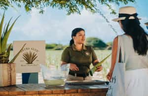 зображення №4 активності «Ораньєстад: екскурсія з історії та пам’яток Аруби на цілий день» в такій локації: Норд, завантажене постачальником