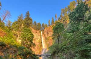 image n.3 of Multnomah Falls: Half-Day Tour of All 5 Major Waterfalls activity in Oregon, uploaded by supplier