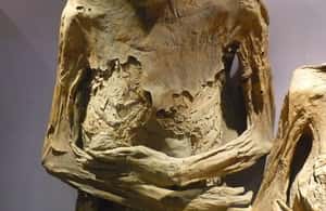 รูปภาพที่ 3 จาก กวานาวาโต: ทัวร์สาธารณะที่กว้างขวาง กิจกรรมใน เมืองกัวนาฮัวโต อัปโหลดโดยซัพพลายเออร์