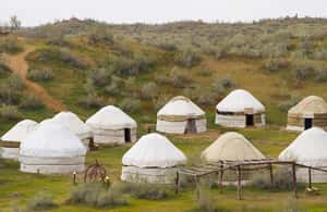 зображення №4 активності «Тур в юртовий табір з нічлігом з Бухари» в такій локації: Джизакська область, завантажене постачальником