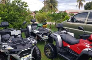 afbeelding n.4 van Vanuit San Ignacio: ATV-expeditie naar de Maya-ruïnes van El Pilar activiteit in Cayo (district), geüpload door aanbieder