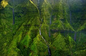 image n.4 of Kauai: Eco Adventure Helicopter Tour activity in Kapaʻa, uploaded by supplier