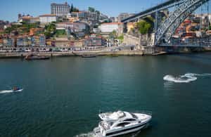 imagem n.4 de Faz um cruzeiro no Porto: Cruzeiro no Rio Douro - Dia Inteiro atividade em Região do Norte, Portugal, carregada pelo fornecedor