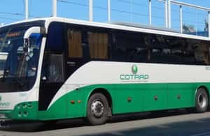 Immagine nº 3 di Aeroporto di Brindisi : Bus navetta da/per Lecce attività a Brindisi, caricata dal fornitore