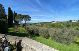 Immagine nº 3 di Firenze: Tour di mezza giornata in e-bike della campagna toscana con vino attività a Firenze, caricata dal fornitore