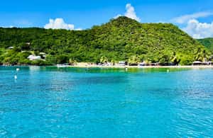 Image N°3 de Martinique : Découverte des tortues et des anses coralliennes activité à Les Anses-d’Arlet, publiée par le prestataire
