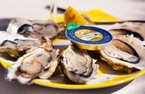 image n.3 of From Bordeaux: Arcachon Bay Full Day Tour and Oyster Lunch activity in Arcachon, uploaded by supplier