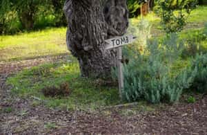 image n.3 of From Athens: Marathon Battlefield and Museum Private Tour activity in Marathon, Greece, uploaded by supplier
