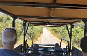 imagem n.3 de Parque Nacional Kruger: Excursão de 4 dias para o melhor safari atividade em Pilgrim's Rest, África do Sul, carregada pelo fornecedor