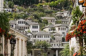 image n.3 of From Vlora:Tepelene Springs, Gjirokaster & Blue Eye Day Tour activity in Muzinë, uploaded by supplier