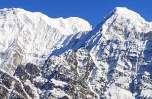 image n.3 of From Pokhara: 5-Day Mardi Himal Base Camp Guided Trekking activity in Ghandruk, uploaded by supplier