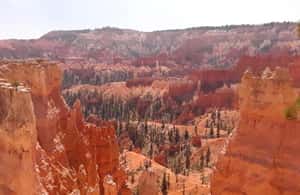 image n.3 of Small Group Tour Zion & Bryce Canyon National from Las Vegas activity in Utah, uploaded by supplier
