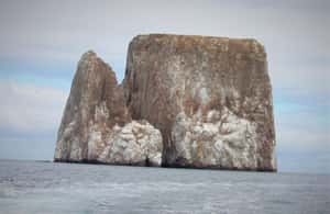 image n.3 of Galapagos: Tour Island Hopping 7 days - 6 nights activity in Galápagos Islands, uploaded by supplier