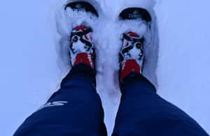 Immagine nº 3 di Saariselkä: Escursione con le racchette da neve nel Parco Nazionale Urho Kekkonen attività a Sodankylä, caricata dal fornitore