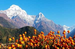 image n.4 of Pokhara: 4-Day Ghorepani, Poonhill & Ghandruk Mountain Trek activity in Ghandruk, uploaded by supplier