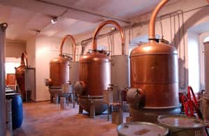 image n.4 of Wine Tasting, Cannes, Famous Designers and Perfume Factory activity in Grasse, uploaded by supplier