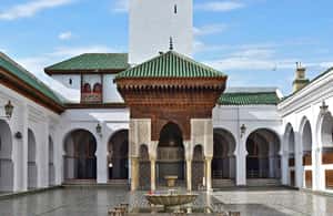 billede nr.4 af aktiviteten Privat dagstur fra Meknes til Fez med officiel guide i Meknès, uploadet af udbyder