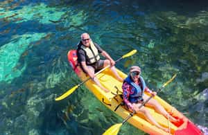imagen n.º 4 de Desde Lagos: Excursión en kayak desde catamarán por las cuevas de Ponta da Piedade actividad en Lagos, Portugal, subida por el proveedor