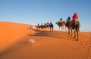 billede nr.4 af aktiviteten Fra Casablanca: 8 dages Chefchaouen, Fes og ørken-eventyr i Rabat, uploadet af udbyder