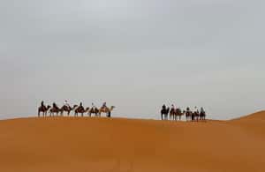 Image N°3 de Marrakech à Fès, circuit de 3 jours dans le désert à dos de chameau et en tente de luxe activité à Marrakech-Safi, publiée par le prestataire