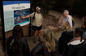 image n.4 of Hobart: Wineglass Bay & Freycinet Active Day Tour activity in Coles Bay, uploaded by supplier